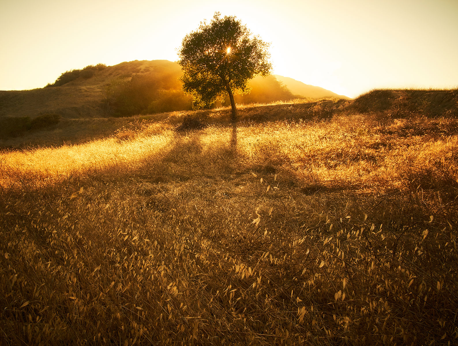 07-TRAVELOGRAPHY-TOPANGA-STATE-PARK-0061