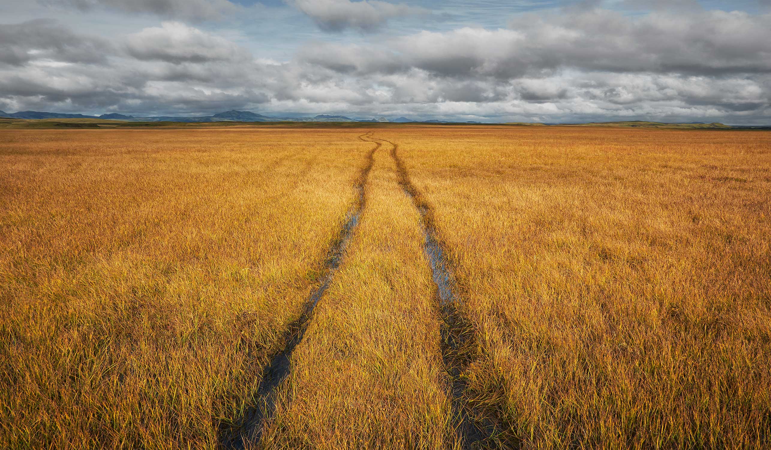 ICELAND-GOLDEN-FIELD-TRACKS-CROPPED